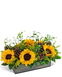 Rustic Autumn Fields from Beecher Florist in Beecher, IL